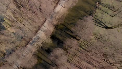 Aerial-overhead-shot-river-in-the-forest-in-winter-in-Poland