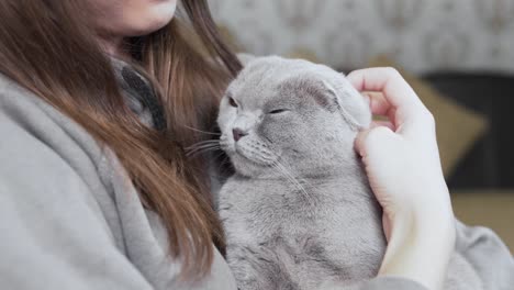Beautiful-girl-is-sitting-in-her-room,-holding-a-grey-cat-on-her-hands-and-smiling