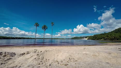Timelapse-of-the-Canaima´s-lake-beach,-with-three-palmtrees-inside-the-water-and-a-blue-sky-with-few-clouds