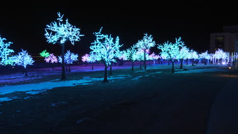 A-large-group-of-multi-colored-trees-lit-up-at-night-and-changing-colors