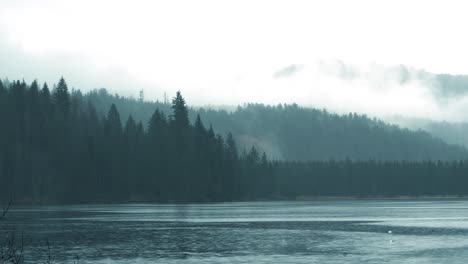 Timelapse-of-foggy-lake-with-winter-fir-forest-in-Background