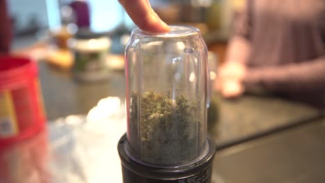 Grinding-and-crushing-of-dried-marijuana-buds-and-leaves-in-a-grinder-mixer