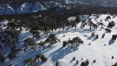 Beautiful-aerial-pull-back-shot-over-Troodos-mountain-covered-in-a-blanket-of-snow-in-the-winter-time