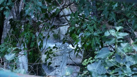 Kleiner-Wasserfall-Hinter-Ästen-Und-Grünen-Blättern