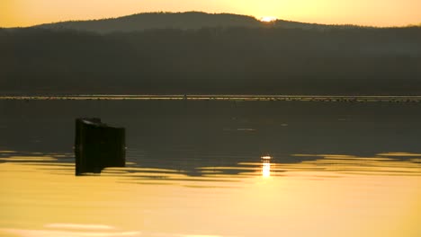 Friedliche-Und-Ruhige-Seenlandschaft,-Während-Eines-Gelben-Sonnenuntergangs