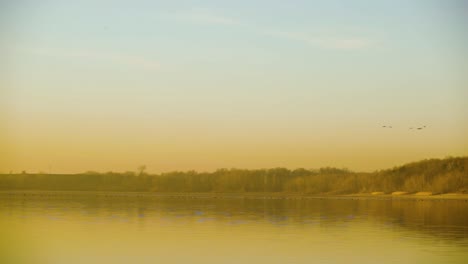 Birds-flying-above-a-calm-lake-during-a-yellow-misty-sunset