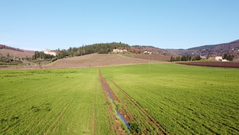 Aerial-over-bread-and-cereals-green-field-in-the-Tuscany-hills-during-sunny-day-with-Chianti-Frescobaldi-vineyard-in-background,-dolly-movement