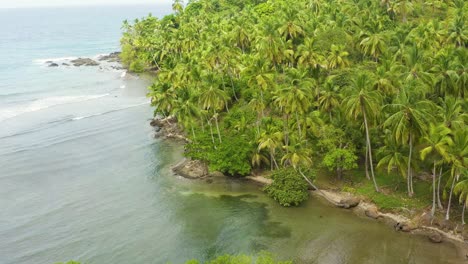 Slow-aerial-dolly-across-tropical-Panama-jungle-palm-tree-forest-coastline-close-up