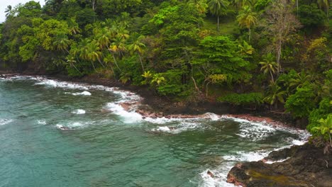 Closeup-on-Panama-jungle-lush-wilderness-tropical-coastline,-waves-breaking-on-shoreline