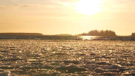Baltic-Sea-starting-to-freeze-with-ice-blocks-moving-with-the-waves-under-them,-lit-up-by-golden-sunlight
