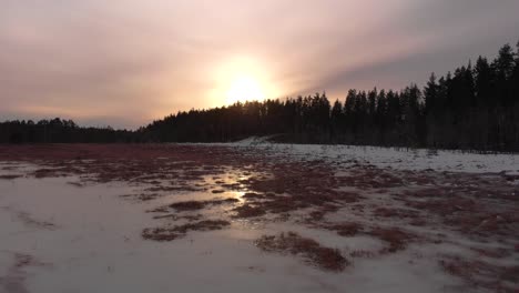 An-Einem-Späten-Wintertag,-Wenn-Die-Sonne-Untergeht,-Vorwärts-über-Den-Eisigen-Sumpf-In-Bodennähe