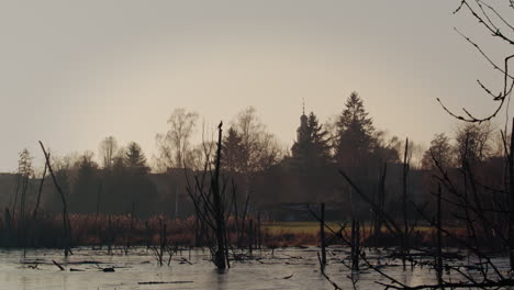 Cormorant-bird-sitting-on-a-dead-end-tree-at-a-winter-pond,-close-to-an-old-german-church-backlit-by-the-sunset