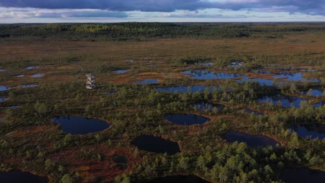 Look-out-tower-in-Peat-bog-or-marsh-in-Estonia-Nature-Reserve,-rotating-aerial