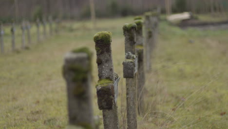 Tilt-up-from-gravestone,-revealing-row-of-old-crucifixes-at-abandoned-graveyard