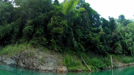 Dschungel-Am-Khao-Sok-See-Vom-Fahrenden-Boot-Aus-Gesehen