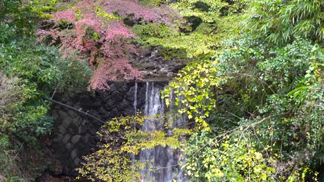 Gesperrter-Blick-Auf-Den-Wunderschönen-Wasserfall,-Der-Von-Herbstblättern-In-Japan-Eingerahmt-Wird