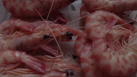 Whole-boiled-pink-shrimp-with-eyes-and-shells,-Close-Up-Detail