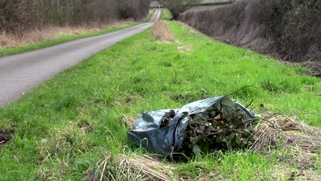 Garden-waste-dumped-on-the-grass-verge-in-England's-smallest-county-of-Rutland-in-the-beautiful-village-of-Preston-on-one-of-the-small-rural-lanes