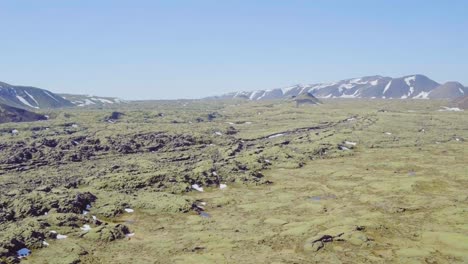 Mossy-Lava-Fields-of-Iceland-in-sunny-day