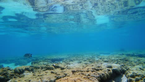 Langsamer-Flug-über-Gesundes-Korallenriff-Im-Kristallklaren-Wasser-Der-Andamanensee-In-Thailand