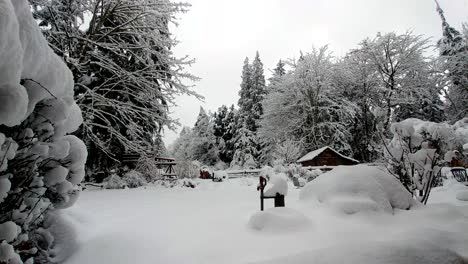Una-Nieve-Fresca-Y-Blanca-De-Invierno-En-Los-Bosques-Del-Estado-De-Washington