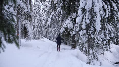 Slow-motion-female-walking-away-on-Snow-Covered-hiking-path-in-forest,-Static-shot