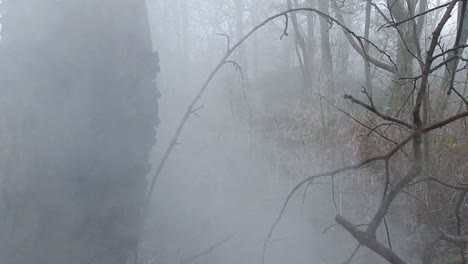 Magische-Mystische-Waldkampfwaldbäume-In-Dichtem,-Dichtem,-Nebligem-Atmosphärischem-Nebel