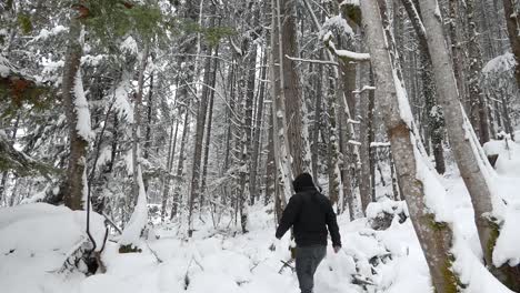 Man-walking-in-a-snowy-forest-in-Canada-in-winter