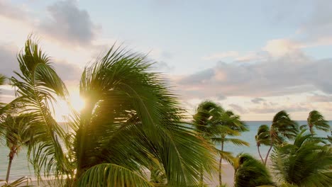 Sunrise,-sunset-through-coconut-palm-tree,-romantic-tropical-seascape-scene,-travel-and-lifestyle-on-tropical-paradise-island,-pedestal-shot
