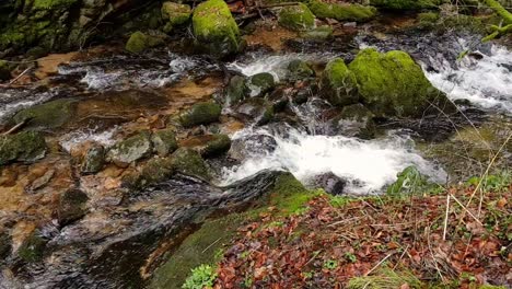 Static-view-of-water-flow-through-rocks-with-moss,-Black-Forest-Germany