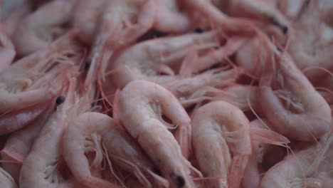 Prized-White-Shrimp-from-Sanlucar-De-Barrameda,-Cadiz,-Spain,-Close-Up-Detail