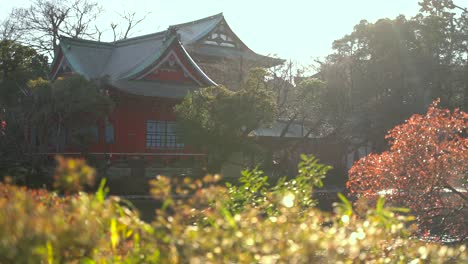Roter-Japanischer-Tempel-Hinter-Herbstlandschaft---Schwenk-In-Zeitlupe