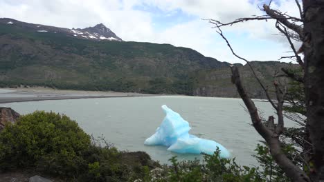 Cold-Chilean-Landscape