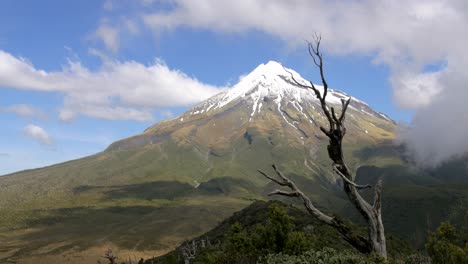 Der-Majestätische-Taranaki-Vulkan-In-Neuseeland-Mit-Seinem-Schneebedeckten-Gipfel-Und-Perfekt-Eingefangen-An-Einem-Hellen,-Sonnigen-Tag---Weitwinkelaufnahme