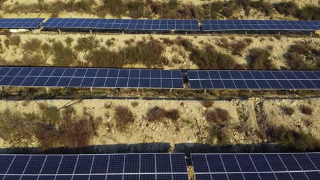 View-of-large-industrial-sized-solar-panels-installed-out-in-the-desert