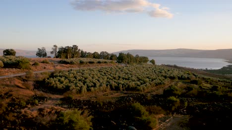 A-road-leading-to-the-church-by-the-Sea-of-Galilee---aerial
