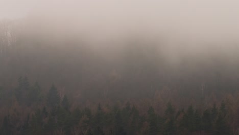 Treetops-in-the-fog-on-a-windy-day-in-Ostrzyca-Proboszczowicka,-Poland---static-wide