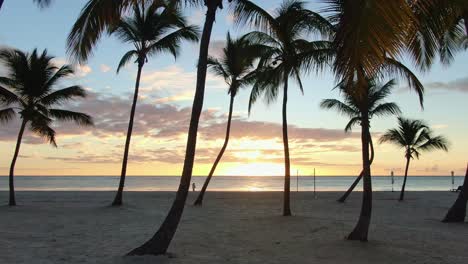 Dramatic-sunset-scene-with-sand-beach,-palm-trees-and-blue-ocean,-idyllic-coast,-tranquility-and-serenity-in-tropical-resort,-Dominican-Republic-travel-destination