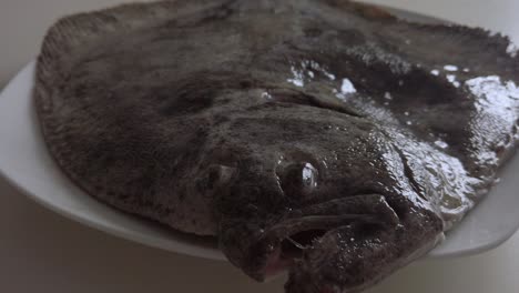 Closeup-Detail-of-Uncooked-Turbot-Flounder,-Moving-in-Toward-Fish-Face
