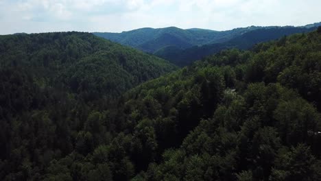 Aerial-view-of-a-green-mountain-forest-landscape