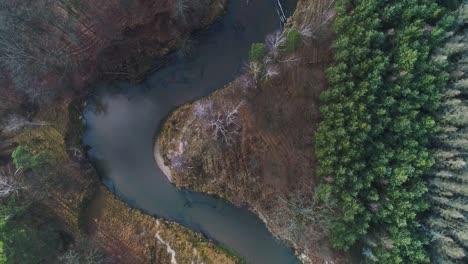 Winding-Mala-Panew-river-surrounded-by-forest,-overhead-aerial