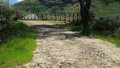 Old-gravel-road-leading-to-the-chalets-and-guest-houses-at-Camelroc-vacation-farm-past-old-trees-and-farm-fence,-South-Africa