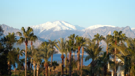 Palm-trees-lake-side-near-Antalya,-Turkey-with-snow-capped-mountains-in-the-background