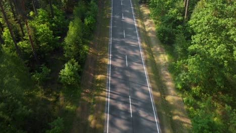 Aerial-fly-over-forest-road-in-the-country