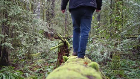 Nahaufnahme-Eines-Mannes,-Der-Auf-Einem-Baumstamm-In-Einem-Regenwald-In-British-Columbia,-Kanada,-Spazieren-Geht