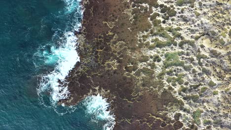 Blue-ocean-waves-lap-onto-lava-rock-shore-at-Sharks-Cove,-Oahu,-Hawaii,-AERIAL
