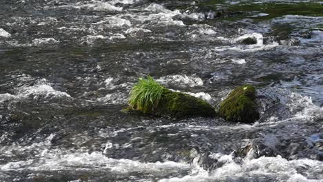 Stream-Flowing-over-Rocks----10-Seconds-Version