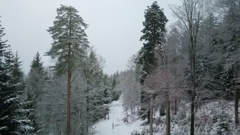 Hombre-Corriendo-En-Un-Bosque-Cubierto-De-Nieve-Durante-El-Día-De-Niebla