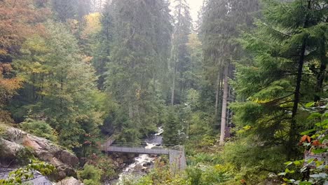 Static-above-view-of-beautiful-Triberg-waterfall-stream-in-the-black-forest-with-bridge-during-fall-day