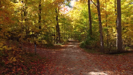 Ein-Sandweg-Durch-Einen-Wald-In-Wunderschönen-Herbstfarben-In-Vaughan,-Kanada